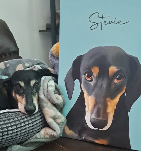 Customer photo review of Pet Art Canvas Wrap
