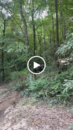 Customer video review of Stealth 3,500lb 12v Electric Winch - Synthetic Rope