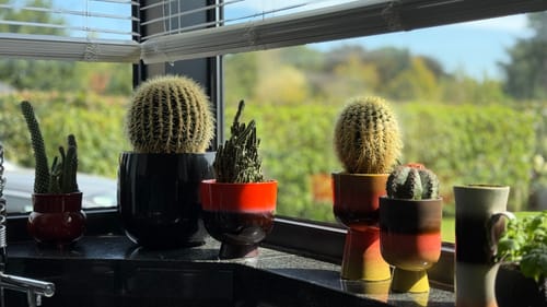 undefined review of HKliving 70's Retro Bloempot - Ø 20,5 cm - Cherry Red image 1 out of 1