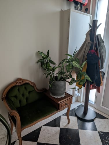 undefined review of Umbra Flapper Kapstok image 1 out of 1