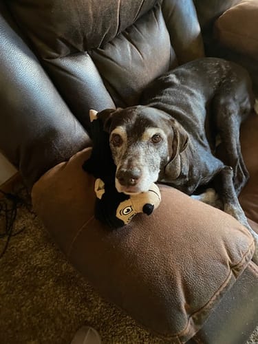 Customer photo review of DA-1™ Daily All-in-One Complete Care