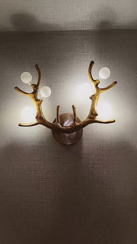 Customer photo review of WOMO Antler Globe Wall Sconce -WM6165