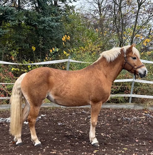 Customer photo review of Kristallkraft TheMineral