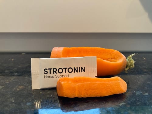 Customer photo review of Strotonin Horse Support