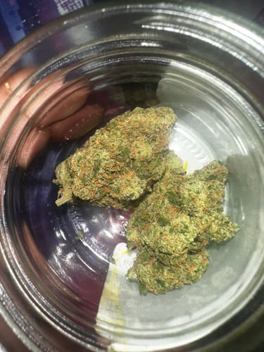 Customer photo review of Dutch Dragon