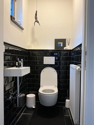 undefined review of Zone Denmark Nova Toiletborstel met Houder - Wit image 1 out of 1