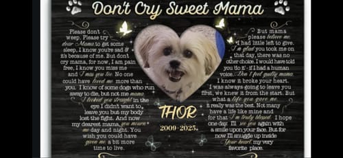 Customer photo review of Personalized Canvas Prints, Custom Photo, Sympathy Gifts, Dog Gifts, Memorial Gifts, Don't Cry Sweet Mama Dem Canvas