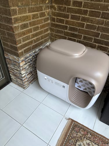 Customer photo review of Self-Cleaning Litter Box