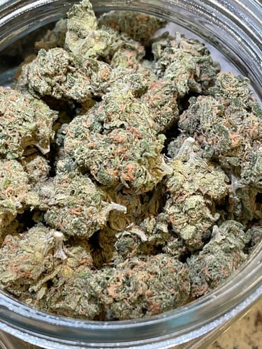Customer photo review of Blue Dream Indoor THCA