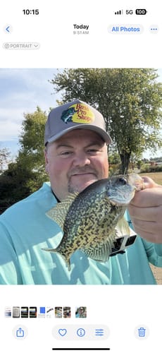 Customer photo review of Golden Green