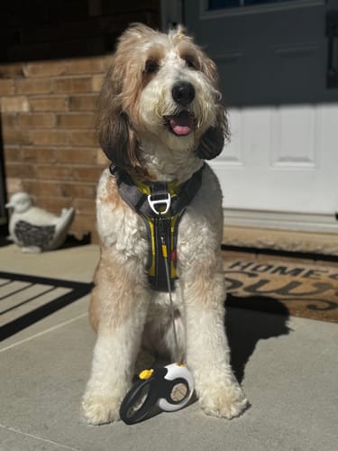 Customer photo review of FIDA Leadsafe Set