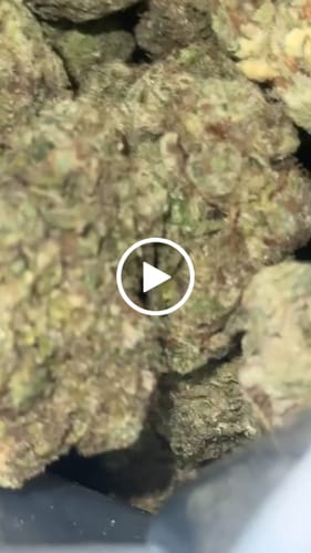 Customer video review of True OG - 28 Grams - Minis (Indica)
