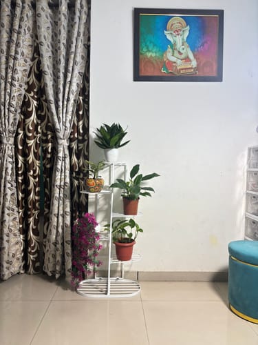 Customer photo review of UnitedCrafts 6 Tier 7 Potted Metal Plant Stand Multiple Shelves