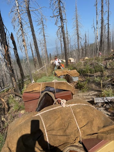 Customer photo review of Dominator Sleep System