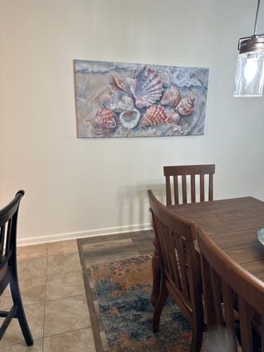 Customer photo review of Sea Shells Modern Coastal Wall Art