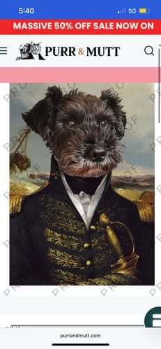 Customer photo review of The Commodore - Custom Pet Portrait