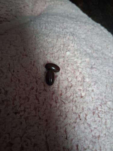 Customer photo review of Black Seed Oil & Natural Glucosamine Capsules
