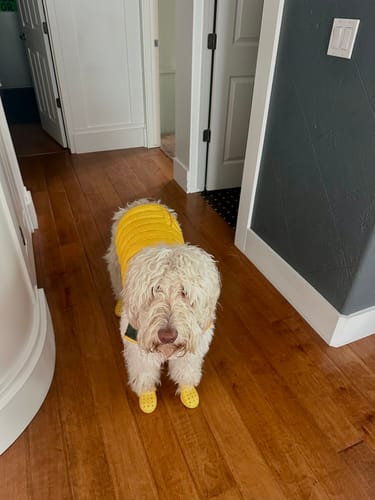 Customer photo review of Puffer Vests