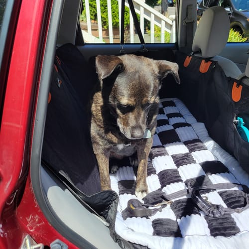 Customer photo review of RuffRover 2.0™ - Hard Bottom Back Seat Extender + (FREE Dog Bed)