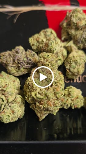 Customer video review of Dank Dynasty Exotic THCA Flower