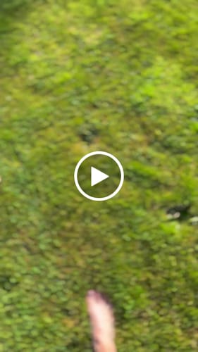 Customer video review of Yawanawa Tsunu "Bullet" Hapé