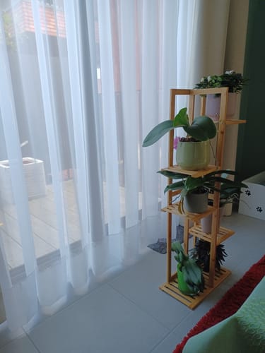 undefined review of HIXA Plantentafel Plantenrek voor Binnen Plantenstandaard 5 Laags P... image 1 out of 1