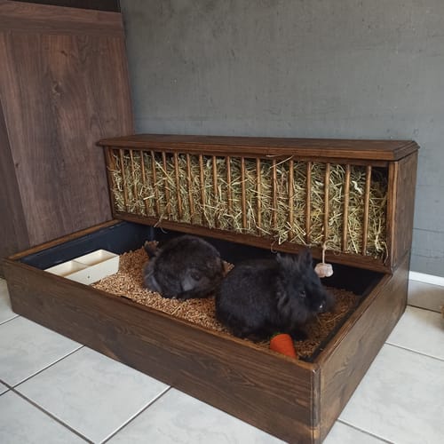 Customer photo review of Foin de Fléole en vrac