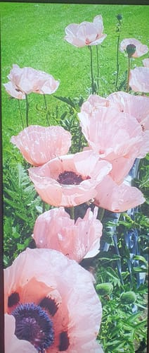 Customer photo review of Wechselmotiv | Eigenes Motiv | Hochformat