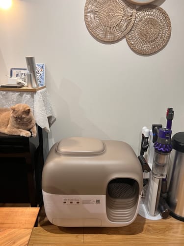 Customer photo review of Litter Box Premium Set + ShelfMate
