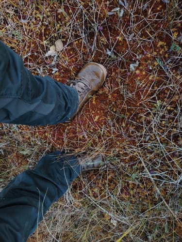 Customer photo review of Vaistoa Uoma 2 -paljasjalkavaelluskengät