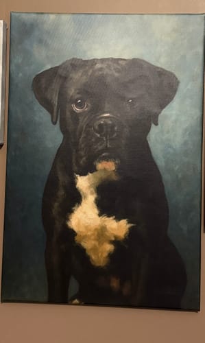 Customer photo review of Custom Pet Portrait - Modern Style