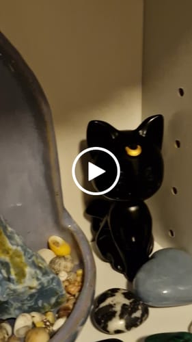 Customer video review of Celestial Kitty with Crescent Moon ~ Lepidolite