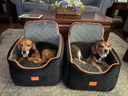 Customer photo review of Natural Farm Fresh from the Farm Red Meat Recipe with Collagen - Joint & Coat Support for All Life Stages