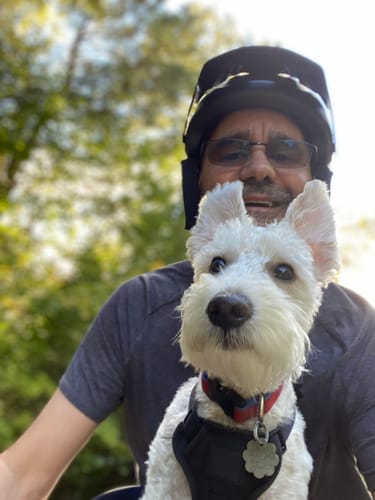 Customer photo review of Kvisp Dog Bike Carrier