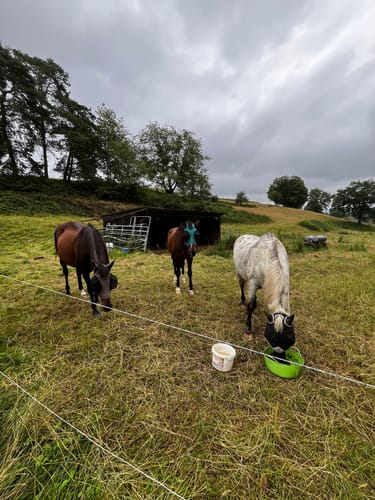 Customer photo review of Kristallkraft No1