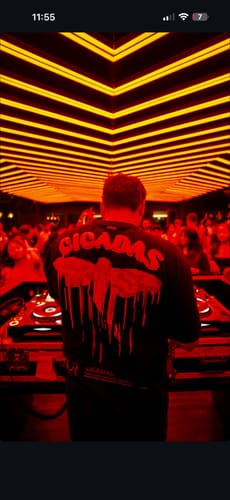 Customer photo review of THE HARMONY