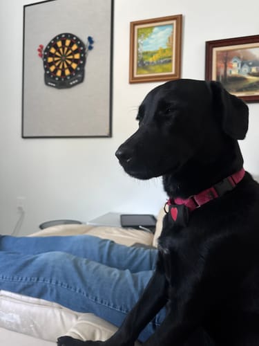 Customer photo review of DA-1™ Daily All-in-One Complete Care