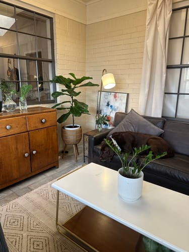 Customer photo review of Plant Food