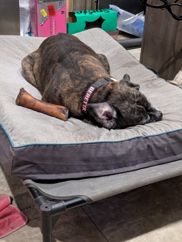 Customer photo review of Smoked Beef Marrow Bone