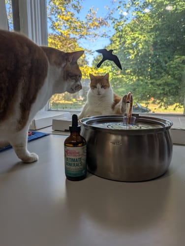 Customer photo review of Ultimate Minerals (4 oz)