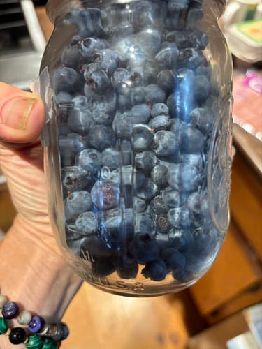 undefined review of Mason Genie® Vacuum Sealer Kit image 1 out of 2