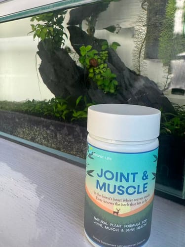 Customer photo review of Joint & Muscle