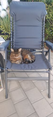 Customer photo review of Patsli Move