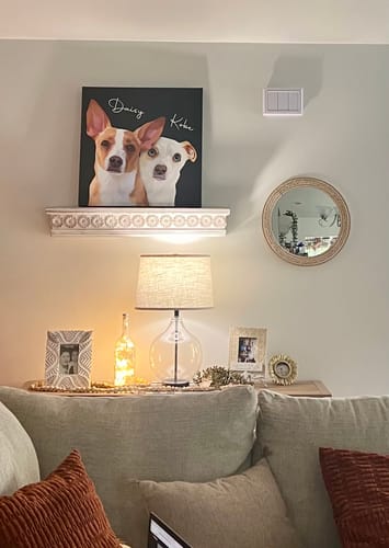 Customer photo review of Pet Art Canvas Wrap