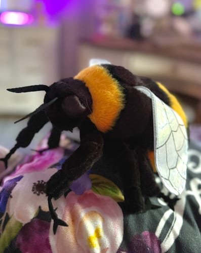 Customer photo review of Realistic Bumblebee Plush Toy – Lifelike, Soft, and Perfect for Insect Enthusiasts
