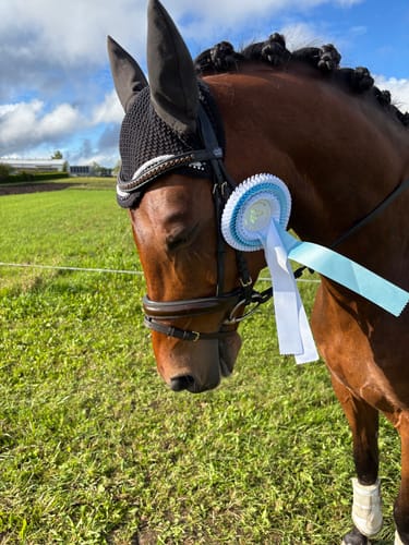 Customer photo review of Strotonin Horse Support