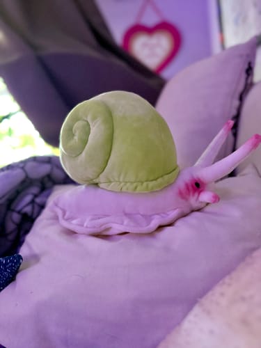 Customer photo review of Realistic Leptopoma Nitidum Snail Plush Toy – Soft, Adorable, and Perfect for Nature Lovers