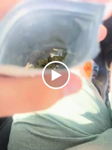 Mason E. review of THCa Greenhouse Smalls image 1 out of 1