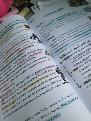 Recenzie cu fotografie de la un client despre Carte Română Bacalaureat Bacademia (temă și viziune, caracterizare, relație) - Ediția II