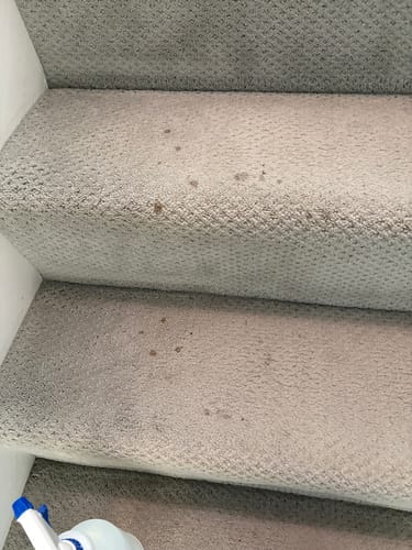 Customer photo review of Green Mitt Kit